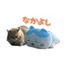 ＼うにとろ／（個別スタンプ：4）