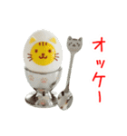 エッグ(卵)料理の猫、あれこれ一言（個別スタンプ：9）