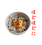 エッグ(卵)料理の猫、あれこれ一言（個別スタンプ：10）