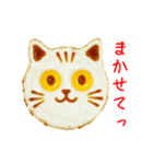 エッグ(卵)料理の猫、あれこれ一言（個別スタンプ：11）