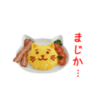エッグ(卵)料理の猫、あれこれ一言（個別スタンプ：17）