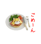 エッグ(卵)料理の猫、あれこれ一言（個別スタンプ：20）