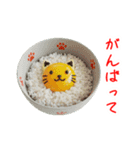 エッグ(卵)料理の猫、あれこれ一言（個別スタンプ：22）