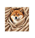 柴犬の日常5（個別スタンプ：24）