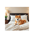 柴犬の日常5（個別スタンプ：39）