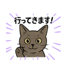 兄妹猫ぎん＆ひめニャンのあいさつスタンプ（個別スタンプ：1）