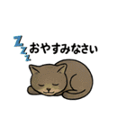 兄妹猫ぎん＆ひめニャンのあいさつスタンプ（個別スタンプ：4）