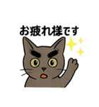 兄妹猫ぎん＆ひめニャンのあいさつスタンプ（個別スタンプ：5）
