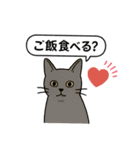 兄妹猫ぎん＆ひめニャンのあいさつスタンプ（個別スタンプ：16）