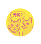 兄妹猫ぎん＆ひめニャンのあいさつスタンプ（個別スタンプ：18）