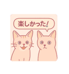 兄妹猫ぎん＆ひめニャンのあいさつスタンプ（個別スタンプ：20）