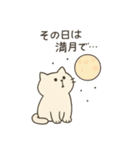 釣りネコ - fishing cat -（個別スタンプ：11）