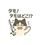 釣りネコ - fishing cat -（個別スタンプ：14）