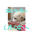 仲良し✖️②（個別スタンプ：6）