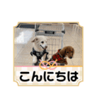 仲良し✖️②（個別スタンプ：7）