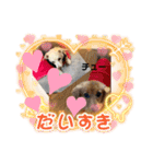 仲良し✖️②（個別スタンプ：9）