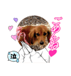 仲良し✖️②（個別スタンプ：11）