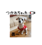 仲良し✖️②（個別スタンプ：13）