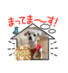 仲良し✖️②（個別スタンプ：15）