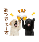 敬語で伝える♡ラブラドール＆黒ラブ（個別スタンプ：5）
