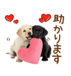 敬語で伝える♡ラブラドール＆黒ラブ（個別スタンプ：19）