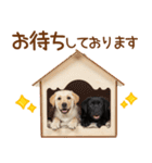 敬語で伝える♡ラブラドール＆黒ラブ（個別スタンプ：24）
