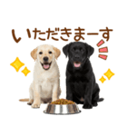 敬語で伝える♡ラブラドール＆黒ラブ（個別スタンプ：29）