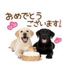 敬語で伝える♡ラブラドール＆黒ラブ（個別スタンプ：39）