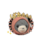 いつでもラクちゃん（個別スタンプ：1）