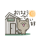 キジトラねこの【敬語多め】スタンプ（個別スタンプ：1）