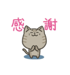 キジトラねこの【敬語多め】スタンプ（個別スタンプ：9）