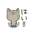 キジトラねこの【敬語多め】スタンプ（個別スタンプ：12）