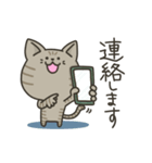 キジトラねこの【敬語多め】スタンプ（個別スタンプ：14）