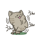 キジトラねこの【敬語多め】スタンプ（個別スタンプ：18）