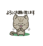 キジトラねこの【敬語多め】スタンプ（個別スタンプ：28）