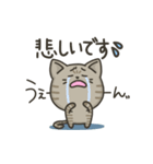 キジトラねこの【敬語多め】スタンプ（個別スタンプ：31）