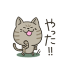キジトラねこの【敬語多め】スタンプ（個別スタンプ：32）