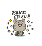 キジトラねこの【敬語多め】スタンプ（個別スタンプ：38）
