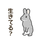 我が子を見守るうさぎ（個別スタンプ：15）