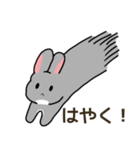 我が子を見守るうさぎ（個別スタンプ：24）
