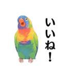 【日常会話】どうぶつえん（個別スタンプ：4）