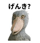 ハシビロコウのBIGスタンプ（個別スタンプ：8）