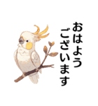 【日常会話・敬語】どうぶつえん（個別スタンプ：1）