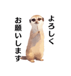 【日常会話・敬語】どうぶつえん（個別スタンプ：2）