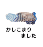【日常会話・敬語】どうぶつえん（個別スタンプ：6）