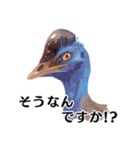 【日常会話・敬語】どうぶつえん（個別スタンプ：12）