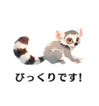 【日常会話・敬語】どうぶつえん（個別スタンプ：13）