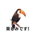 【日常会話・敬語】どうぶつえん（個別スタンプ：22）