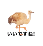 【日常会話・敬語】どうぶつえん（個別スタンプ：23）