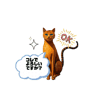 SEN Stamp 7（個別スタンプ：5）